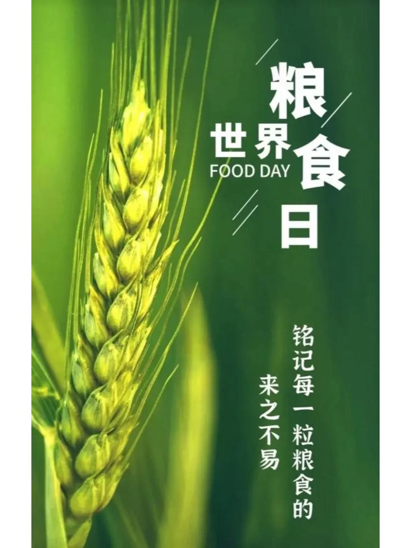 凯时AG（股票代码：002427）