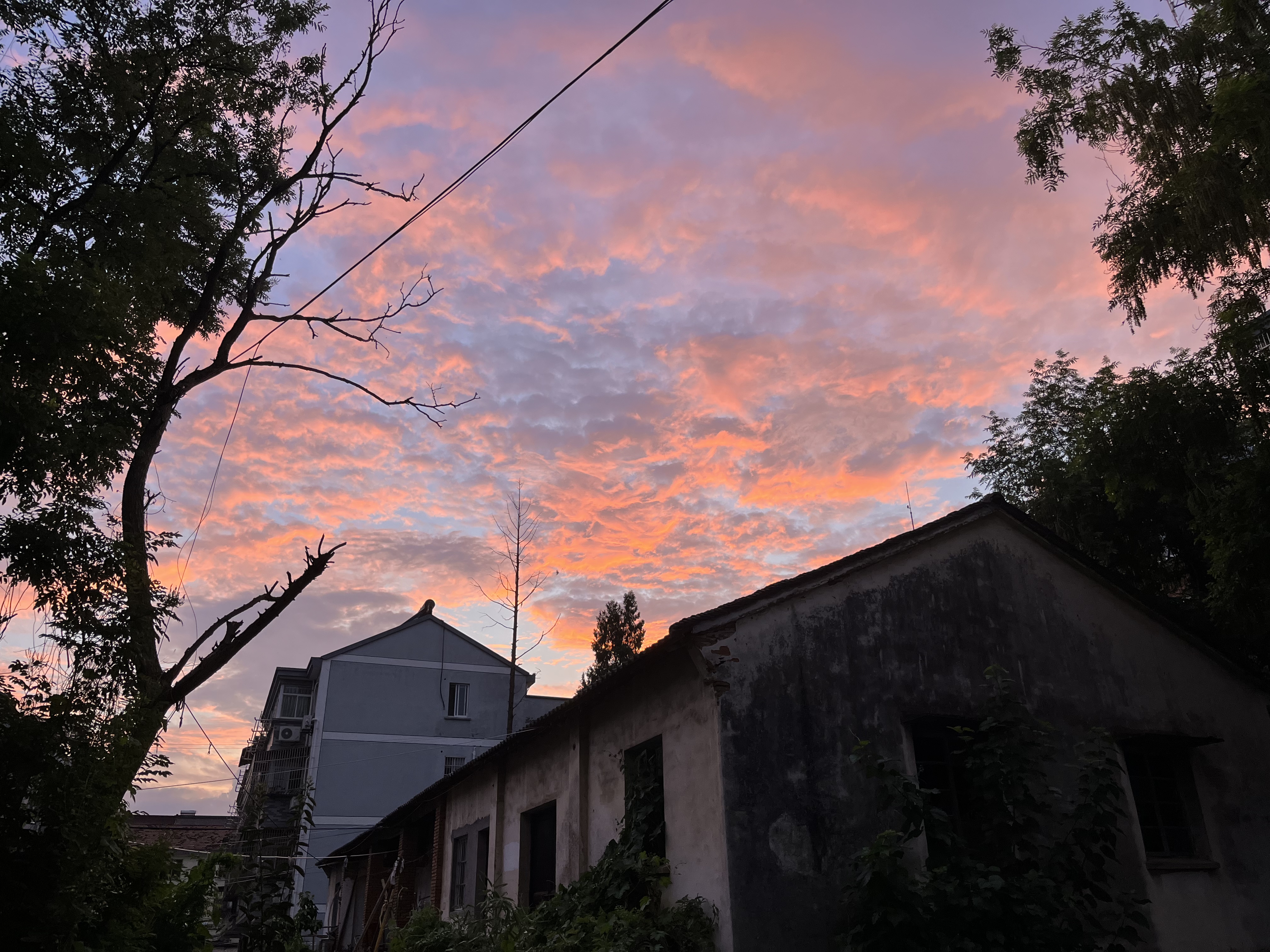 凯时AG（股票代码：002427）