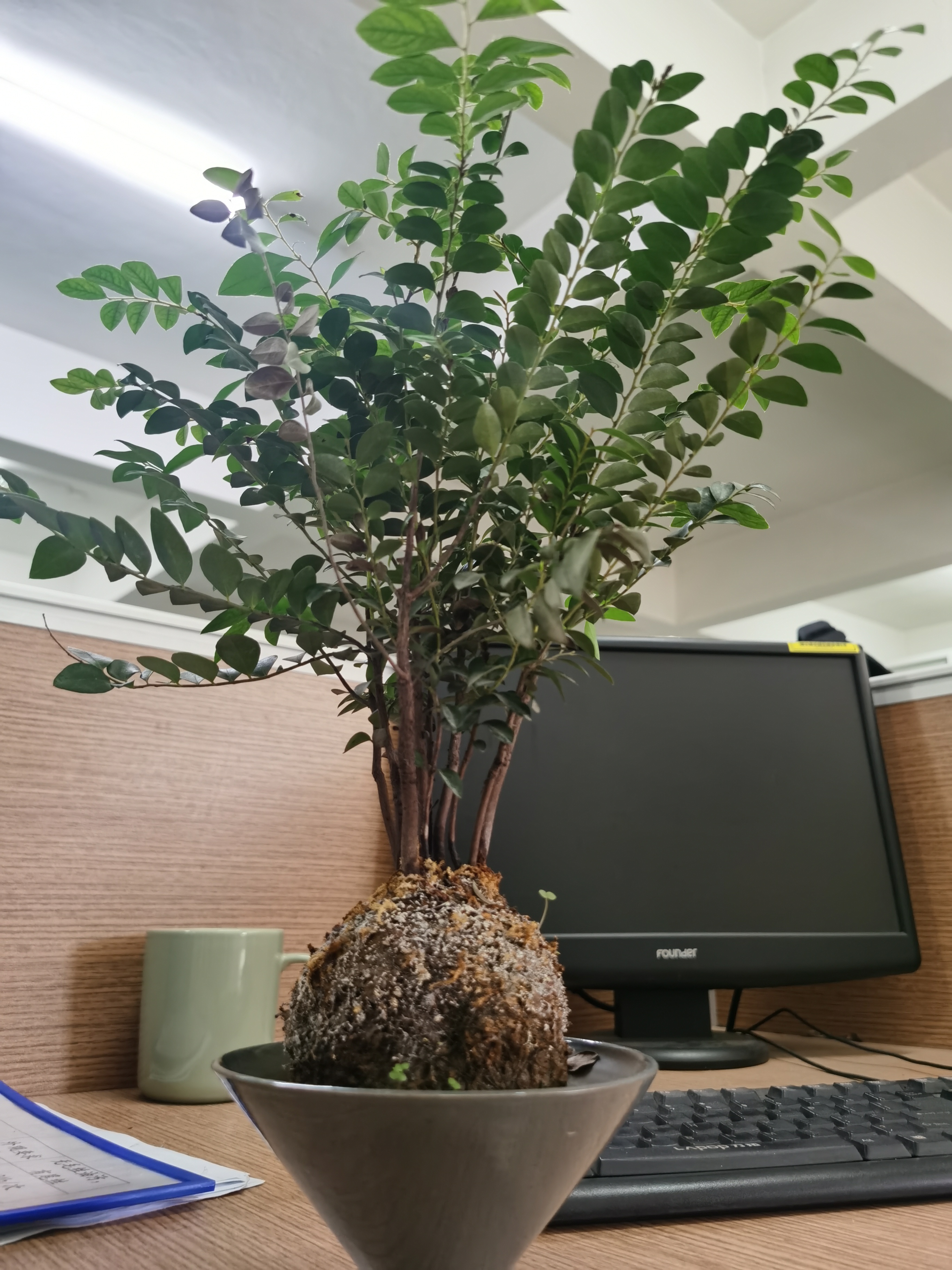 凯时AG（股票代码：002427）