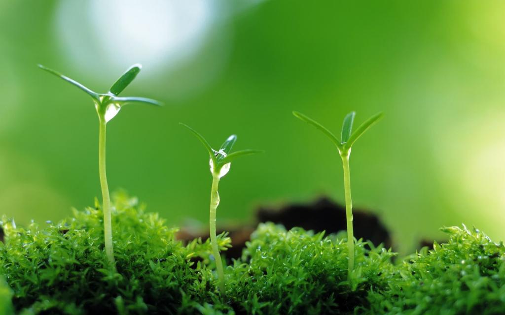 凯时AG（股票代码：002427）