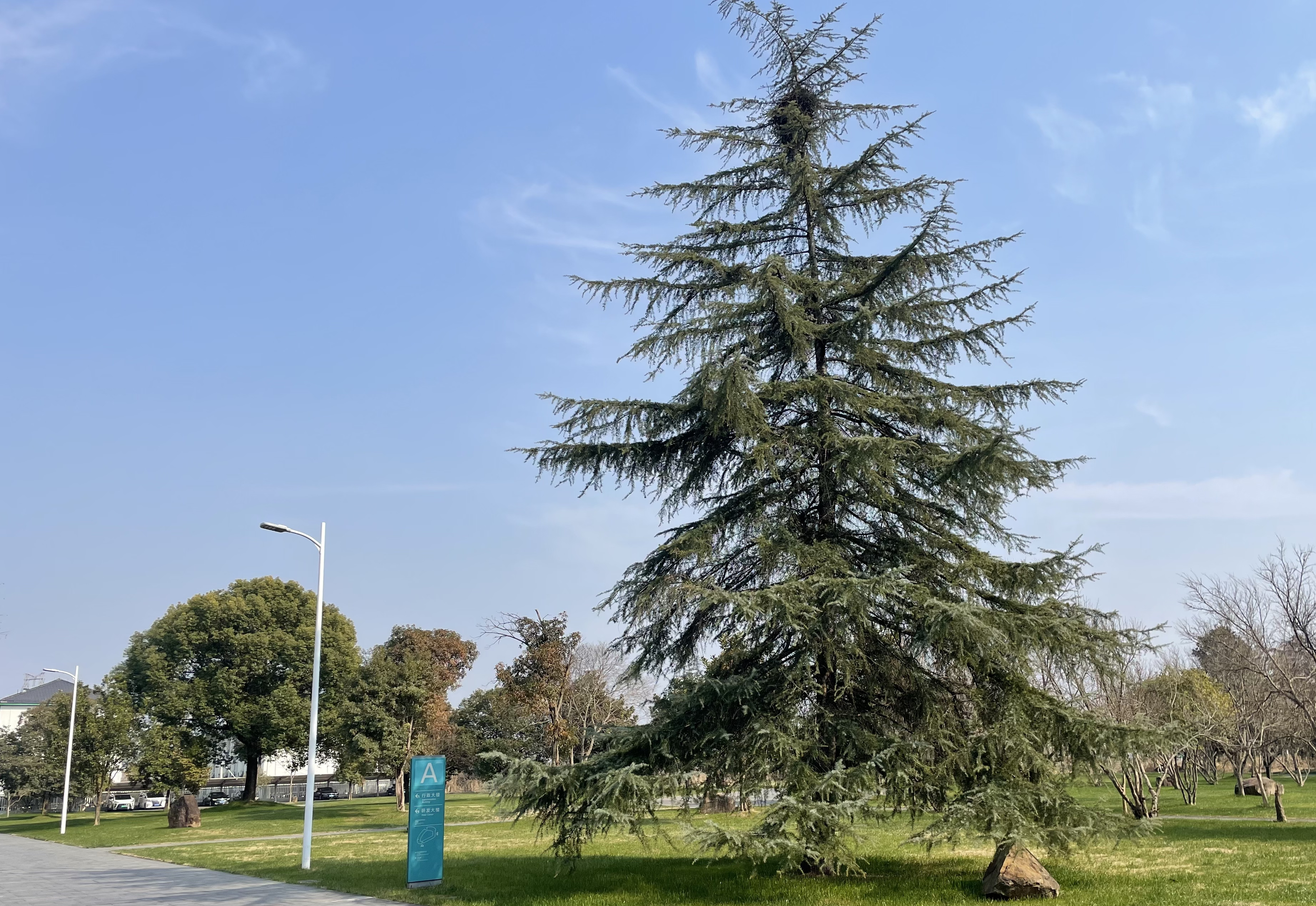 凯时AG（股票代码：002427）