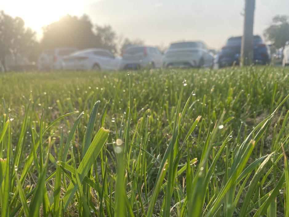 凯时AG（股票代码：002427）