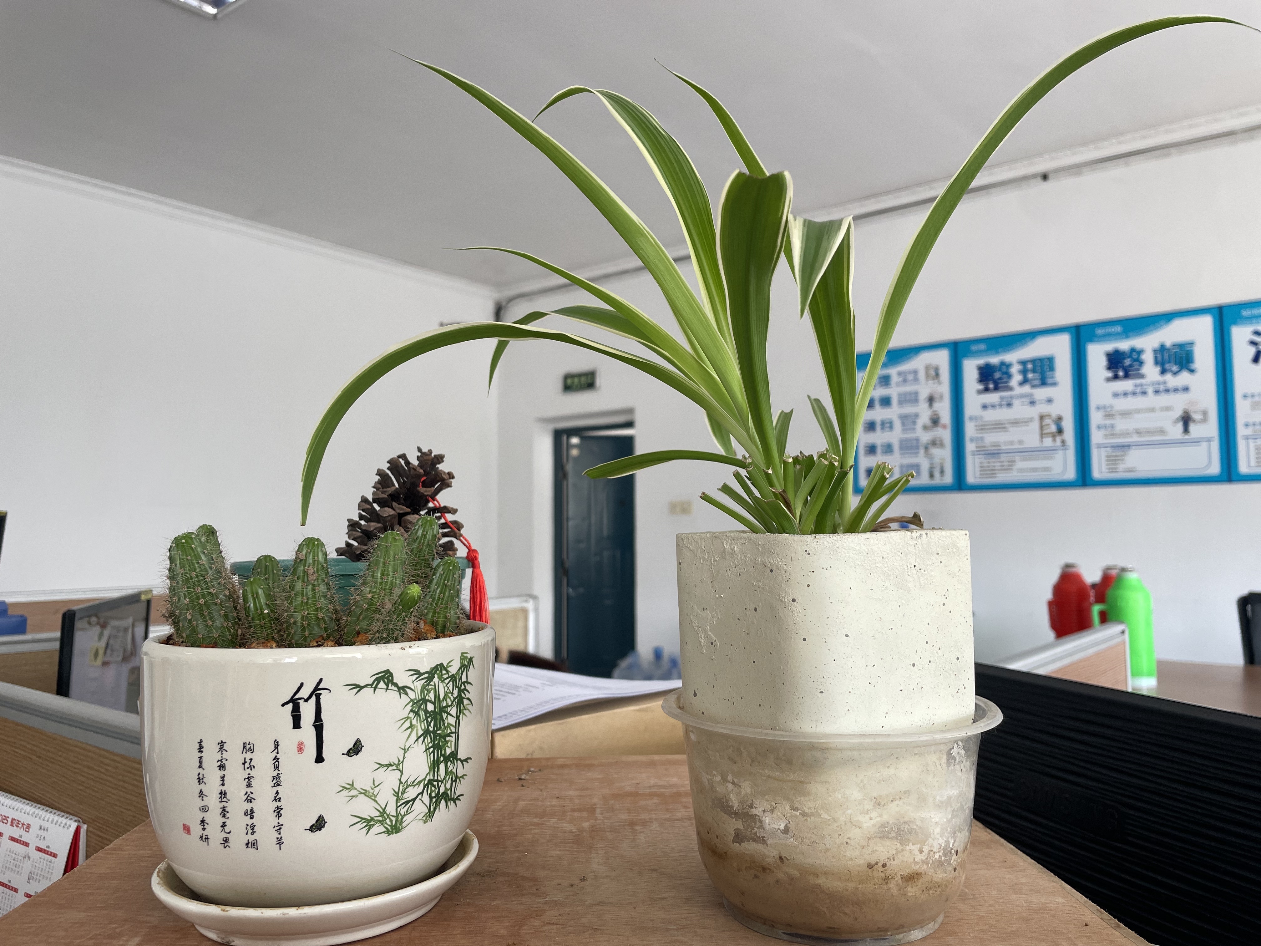 凯时AG（股票代码：002427）