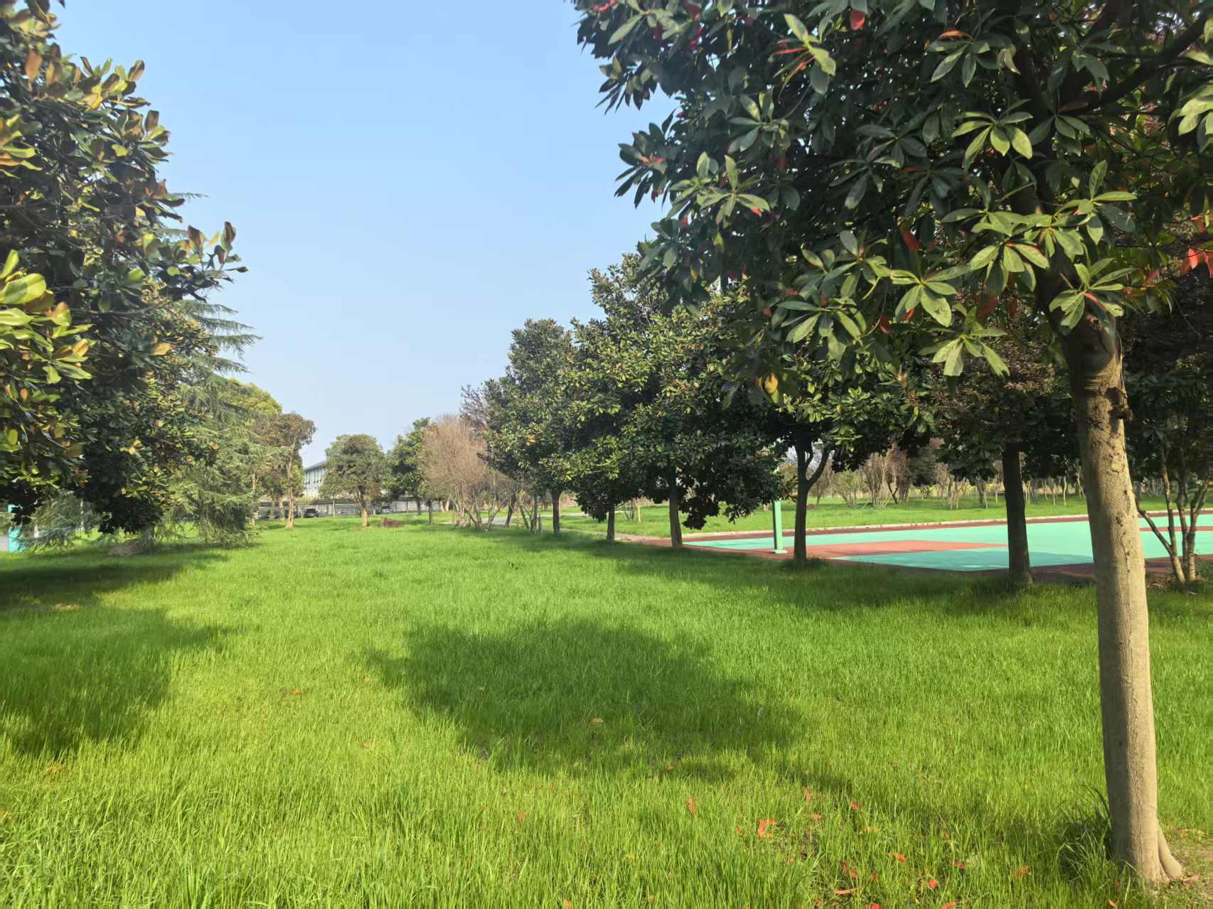 凯时AG（股票代码：002427）