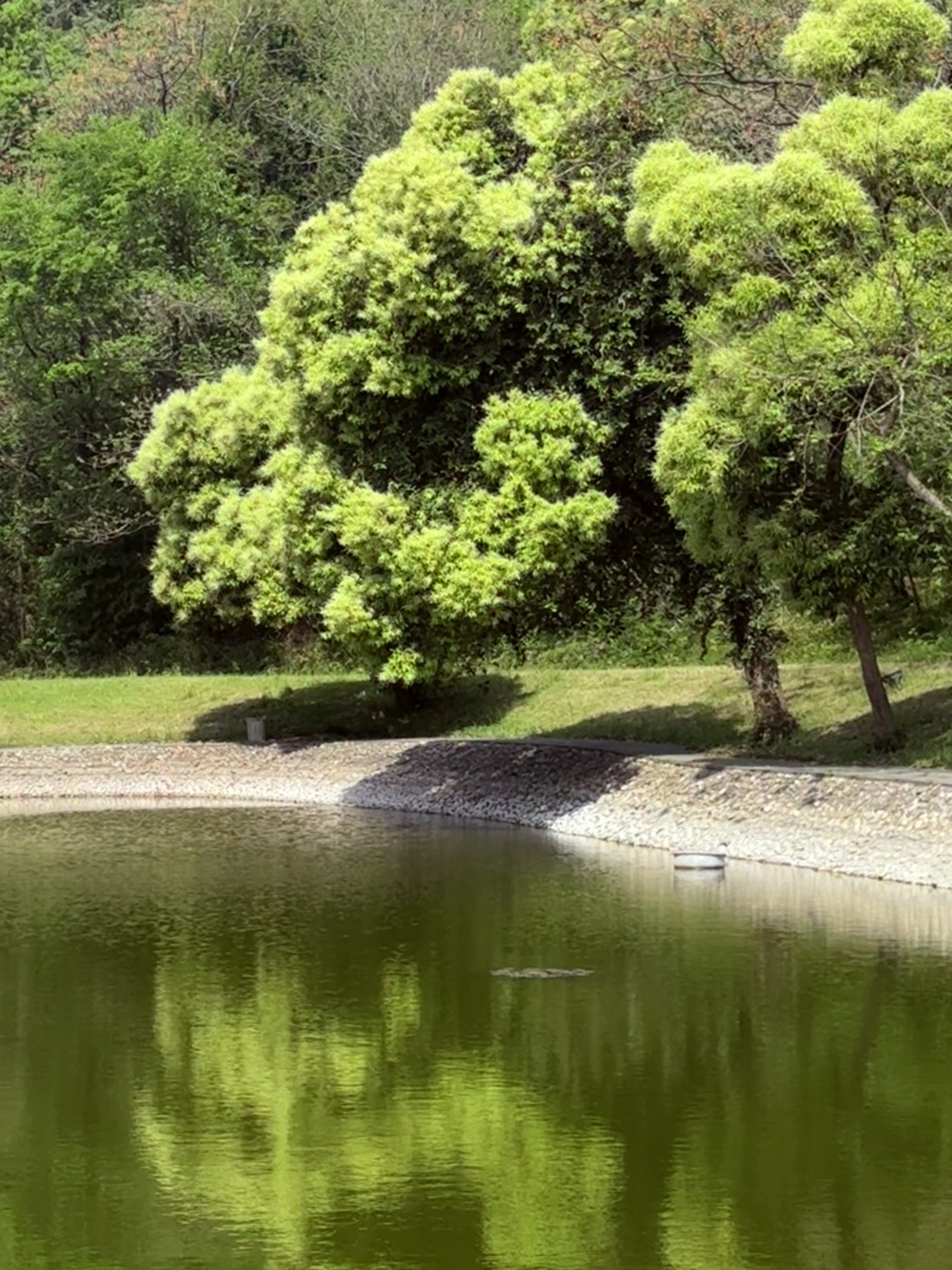 凯时AG（股票代码：002427）