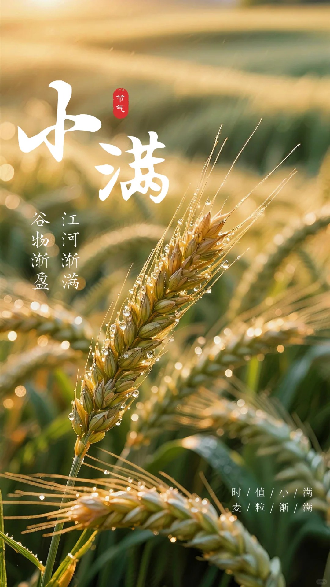 凯时AG（股票代码：002427）