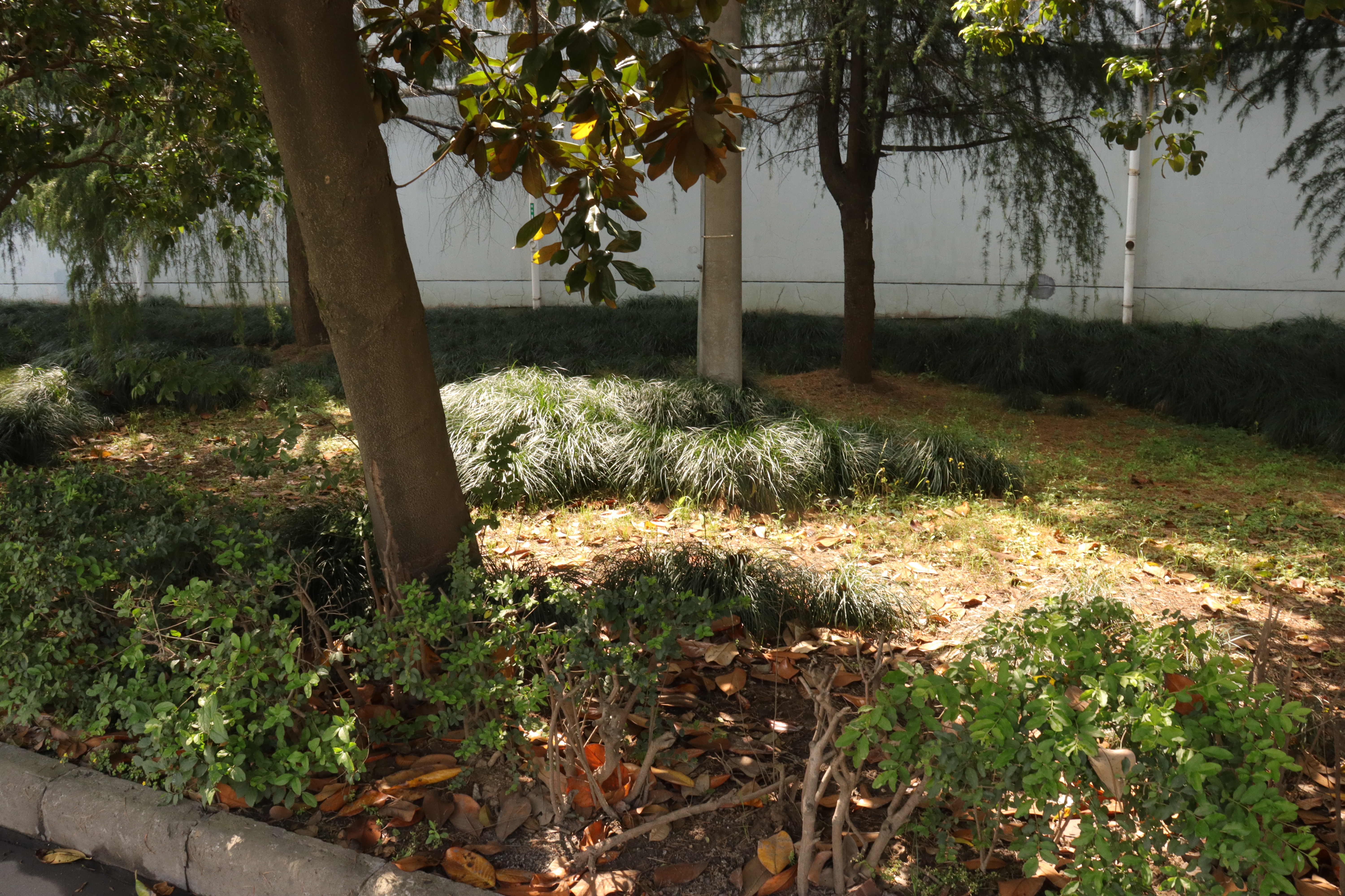 凯时AG（股票代码：002427）